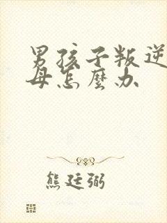 男孩子叛逆打父母怎么办