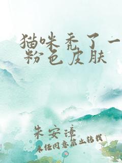 猫咪秃了一块毛 粉色皮肤