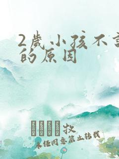 2岁小孩不说话的原因