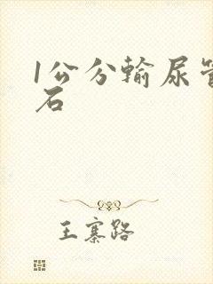 1公分输尿管结石