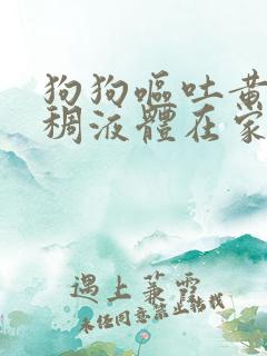 狗狗呕吐黄色粘稠液体在家怎么治