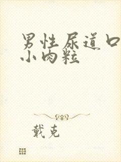 男性尿道口上的小肉粒