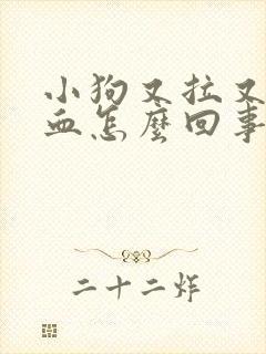 小狗又拉又吐便血怎么回事