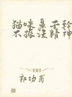 猫咪鼻子干食欲不振没精神