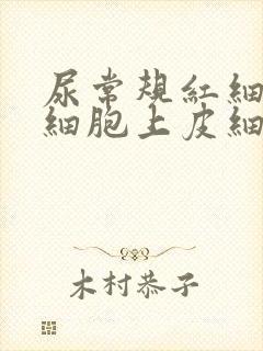 尿常规红细胞白细胞上皮细胞都高