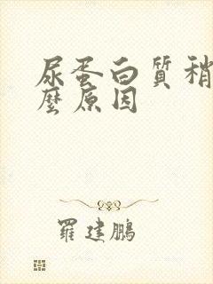 尿蛋白质稍高什么原因