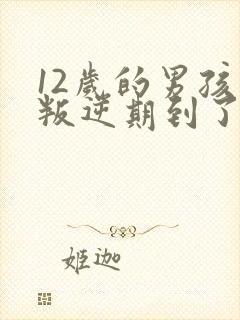 12岁的男孩子叛逆期到了吗