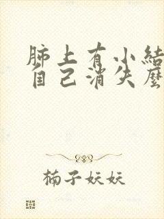 肺上有小结节会自己消失么