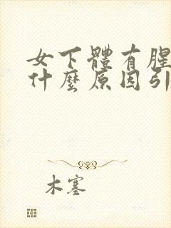 女下体有腥味是什么原因引起的