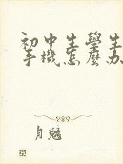 初中生学生沉迷手机怎么办