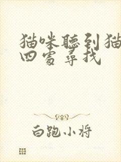 猫咪听到猫叫声四处寻找