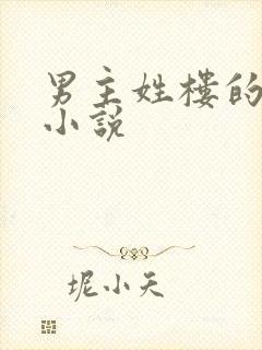 男主姓楼的古言小说