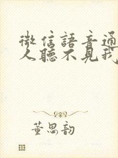 微信语音通话别人听不见我的声音