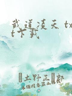 武道凌天 txt下载