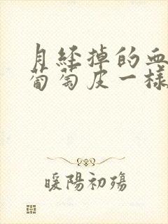 月经掉的血块和葡萄皮一样