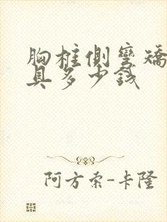 胸椎侧弯矫正支具多少钱