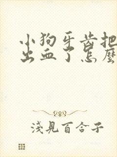 小狗牙齿把手划出血了怎么办