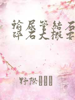 输尿管结石体外碎石大概要多少钱