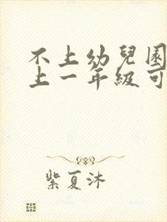 不上幼儿园直接上一年级可以吗