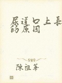 尿道口上长水泡的原因