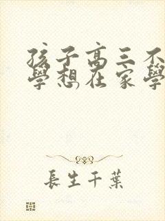 孩子高三不想上学想在家学怎么办