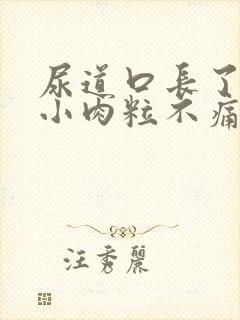 尿道口长了一堆小肉粒不痛不痒