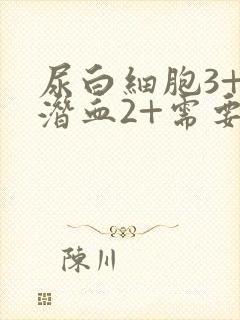 尿白细胞3+尿潜血2+需要治疗吗