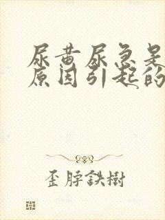 尿黄尿急是什么原因引起的