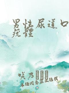 男性尿道口长小疣体