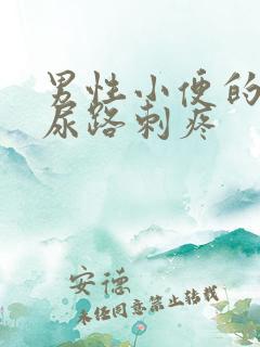 男性小便的时候尿路刺疼