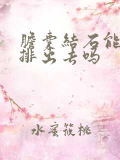 胆囊结石能吃药排出去吗