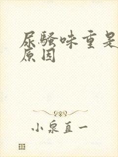 尿骚味重是什么原因