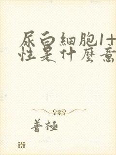 尿白细胞1+阳性是什么意思