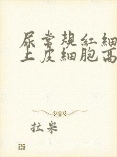 尿常规红细胞和上皮细胞高