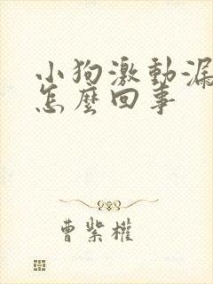 小狗激动漏尿是怎么回事