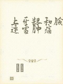 上牙龈和脸颊相连处肿痛