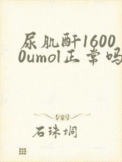 尿肌酐16000umol正常吗