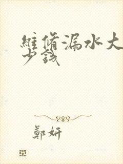 维修漏水大概多少钱