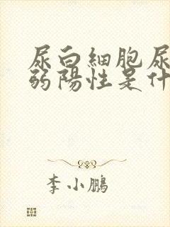 尿白细胞尿潜血弱阳性是什么意思