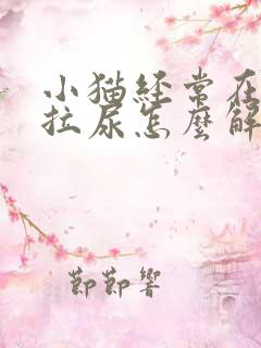 小猫经常在床上拉尿怎么解决