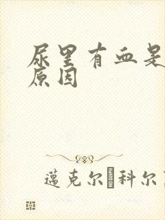 尿里有血是什么原因