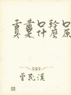 舌黄口干口苦口臭是什么原因引起的