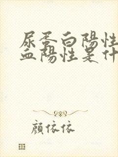 尿蛋白阳性尿潜血阳性是什么意思