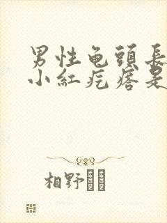 男性龟头长起点小红疙瘩是这么回事