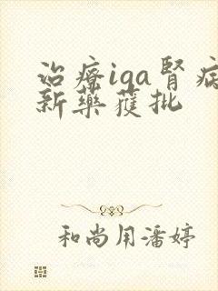 治疗iga肾病新药获批