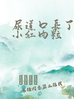 尿道口长了一个小红肉粒