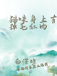 猫咪身上有一块掉毛红肉