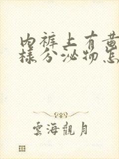 内裤上有黄色水样分泌物怎么回事