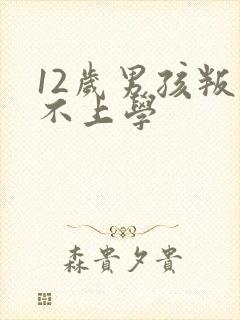 12岁男孩叛逆不上学