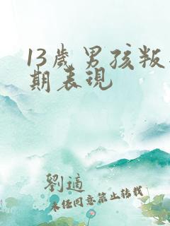 13岁男孩叛逆期表现